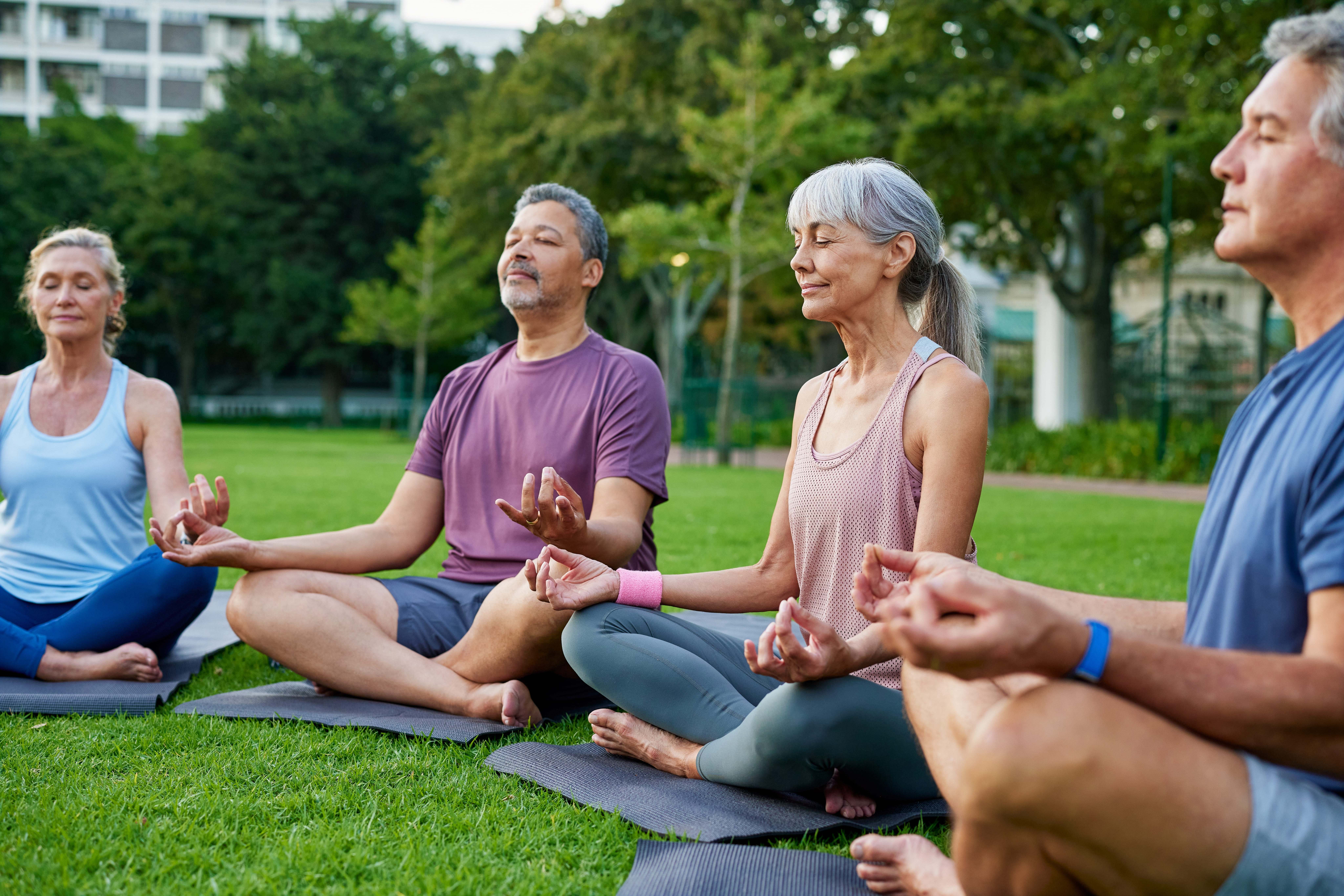 Modules complémentaires